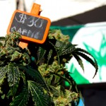 dc-superior-court-clears-hurdle-for-legal-marijuana-sales