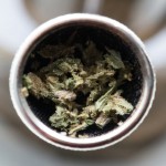 marijuana-not-the-real-gateway-drug
