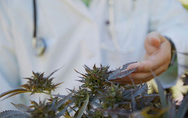 crowdfunding-medical-marijuana-research