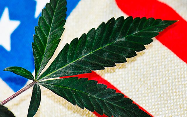 unlikely-allies-fighting-for-marijuana-legalization-in-virginia