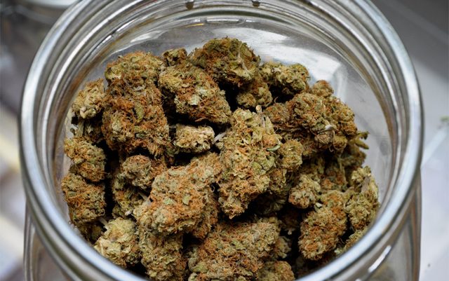 bostons-first-dispensary-is-open-for-business