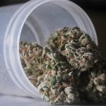 doctors-are-in-the-dark-about-medical-cannabis