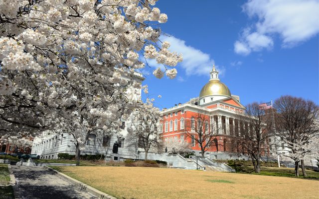 implementing-ma-legalization-laws-may-take-longer-than-expected