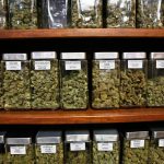 study-shows-no-link-between-medical-marijuana-dispensaries-and-increased-crime-rates