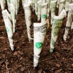 recreational-cannabis-in-NYC-could-be-a-3-billion-dollar-market