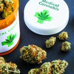 best-marijuana-strains-for-anxiety-relief-in-2018