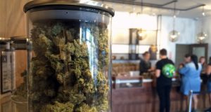 cannabis-sales-soar-depsite-having-having-few-open-dispensaries