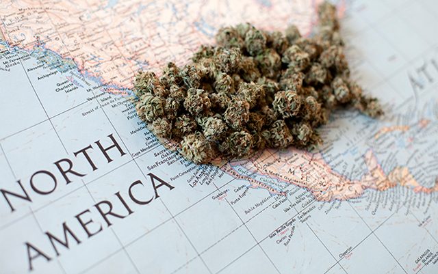 breaking-down-marijuana-law-reform-in-2020