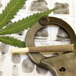 illinois-bill-hopes-to-clear-past-cannabis-convictions