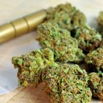 michigan-creates-new-website-to-answer-marijuana-questions