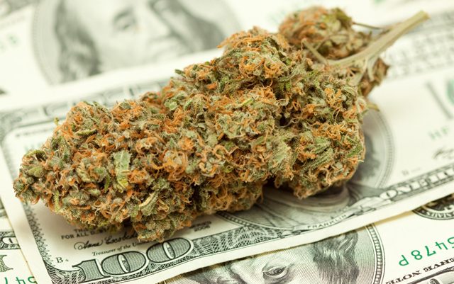 putting-your-money-where-the-marijuana-is
