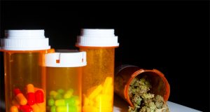 doctors-in-colorado-will-be-able-to-recommend-marijuana-in-place-of-opioids
