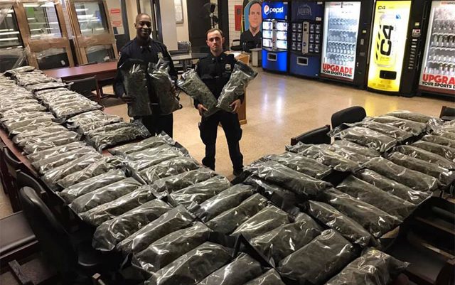 NYPD-confiscates-106-pounds-of-hemp-mistakes-it-for-cannabis