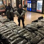 NYPD-drops-case-against-hemp-farmers-after-confiscating-106-pounds
