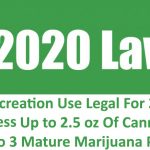 Top-5-States-Searching-For-Cannabis-Laws-Maine-Cannabis-Laws