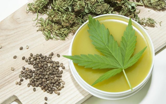 highest-CBD-strain-of-cannabis