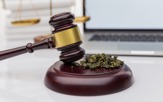 Cannabis-Law - Manshoory Law