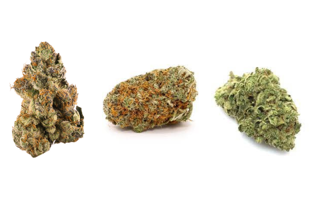 Popular Cannabis Strains - Weedsies