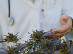 Federal Government To Fund Research On the Use of Cannabis to Treat Cancer, Temporary Marijuana “Pop-up” Venues Making a Comeback, and Lawmakers in NC May Consider Medical Marijuana Legalization federal-government-to-fund-research-on-using-cannabis-to-treat-cancer