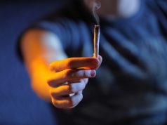 Recent Poll Data Shows Most Americans Think Cannabis is Better for People Than Alcohol, Recreational Marijuana Sales in NJ Reach $80 Million, and California’s Provisional Licensing Program to End recent-poll-shows-most-americans-think-marijuana-is-positive