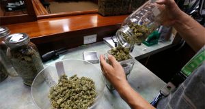 NY Cannabis Officials Issue First 36 Retail Licenses, Minnesota Governor Wants to See Cannabis Legalized in the State in 2023, and A Cherokee Tribe in North Carolina Begins Harvesting First Legal Medical Cannabis NY-cannabis-officials-issue-first-36-cannabis-licenses-for-retail-businesses