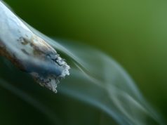 Three Cannabis Strains That Are Perfect for Beginners cannabis-strains-for-beginners