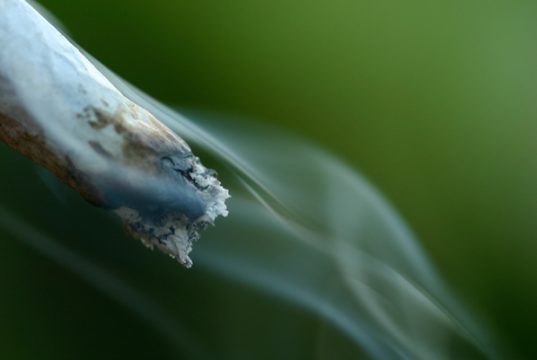 Three Cannabis Strains That Are Perfect for Beginners cannabis-strains-for-beginners