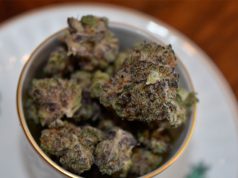 Three Cannabis Strains that Could Help You Reach Your Weight Loss Goals cannabis-strains-that-may-aid-with-weight-loss