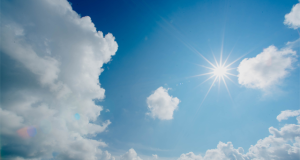 Three Cannabis Strains for Daytime Use