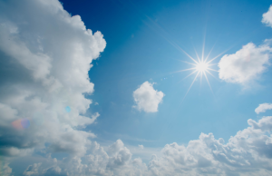 Three Cannabis Strains for Daytime Use