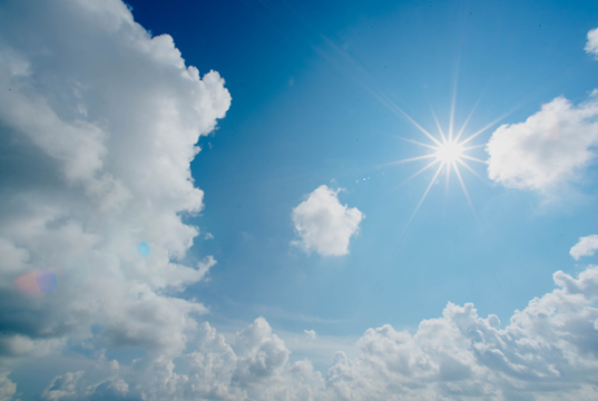 Three Cannabis Strains for Daytime Use
