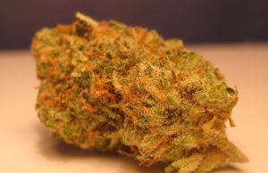Three Hard-to-Find Cannabis Strains three-rare-cannabis-strains