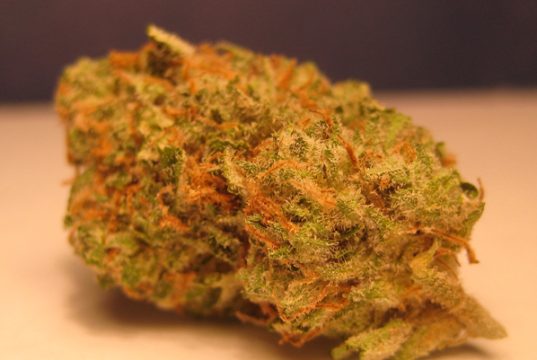 Three Hard-to-Find Cannabis Strains three-rare-cannabis-strains