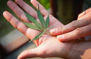 What Are the Best Cannabis Strains for Improving Focus? strains-for-improving-focus