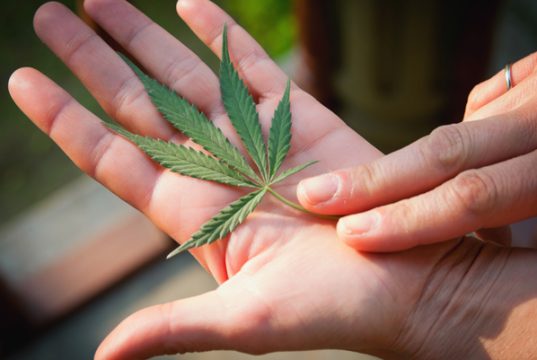 What Are the Best Cannabis Strains for Improving Focus? strains-for-improving-focus