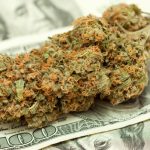 SAFE-cannabis-banking-legislation-could-be-heard-in-senate-in-coming-weeks