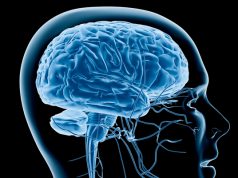 A New Study Demonstrates How Psilocybin Therapy Can Effectively Treat Alcoholism, New Jersey Officials Revoke Cannabis Licenses Because of Unpaid Fees, and Canada’s Stockpile of Unsold Marijuana Reaches 3.2 Million Pounds new-study-demonstrates-how-psilocybin-may-help-treat-alcoholism