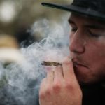 new-study-shows-adult-cannabis-use-reached-all-time-high