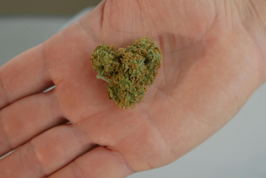 Three of The Most Delicious Cannabis Strains three-of-the-most-delicious-marijuana-strains