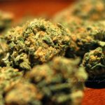 three-of-the-smoothest-cannabis-strains
