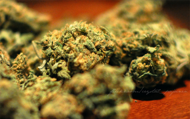 photo of What Are Three of The Smoothest Cannabis Strains? image