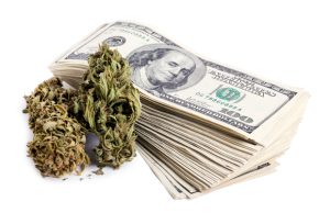 Recent Report Says States with Legal Markets Have Collected More Than $20 Billion in Cannabis Tax Revenue, New Colorado Bill Will Allow Cannabis Stores to Sell Food, and Group of Minnesota Home Growers File a Lawsuit to Sell Their Cannabis Without a License states-have-collected-over-20-billion-in-cannabis-tax-revenue